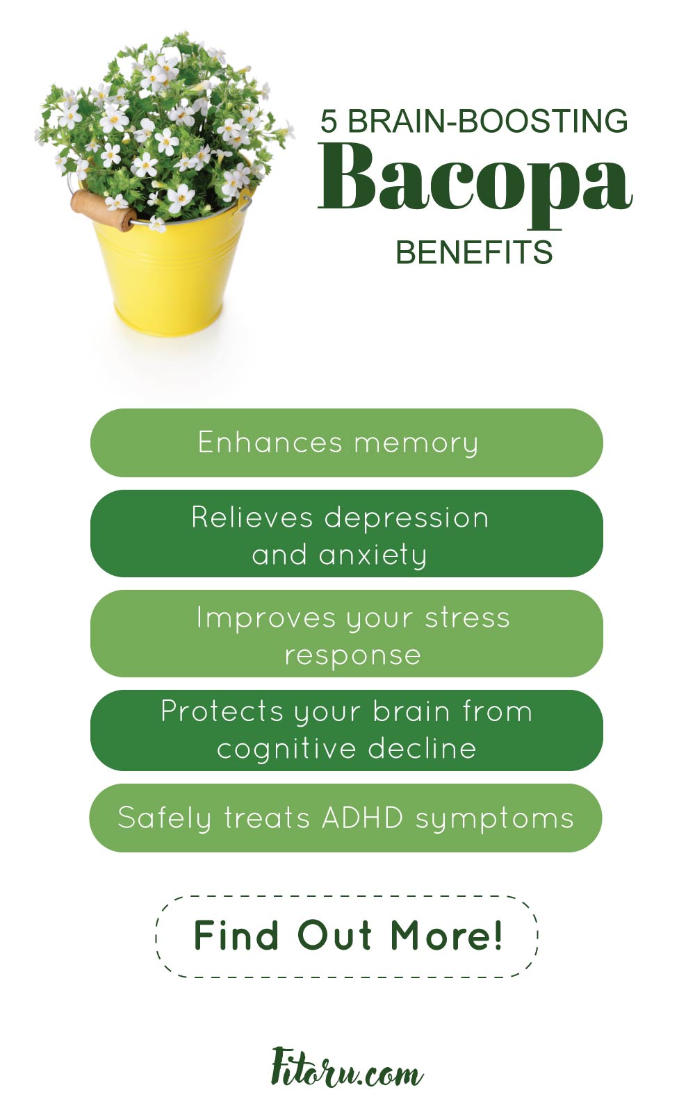 5 Brain-Boosting Bacopa Benefits