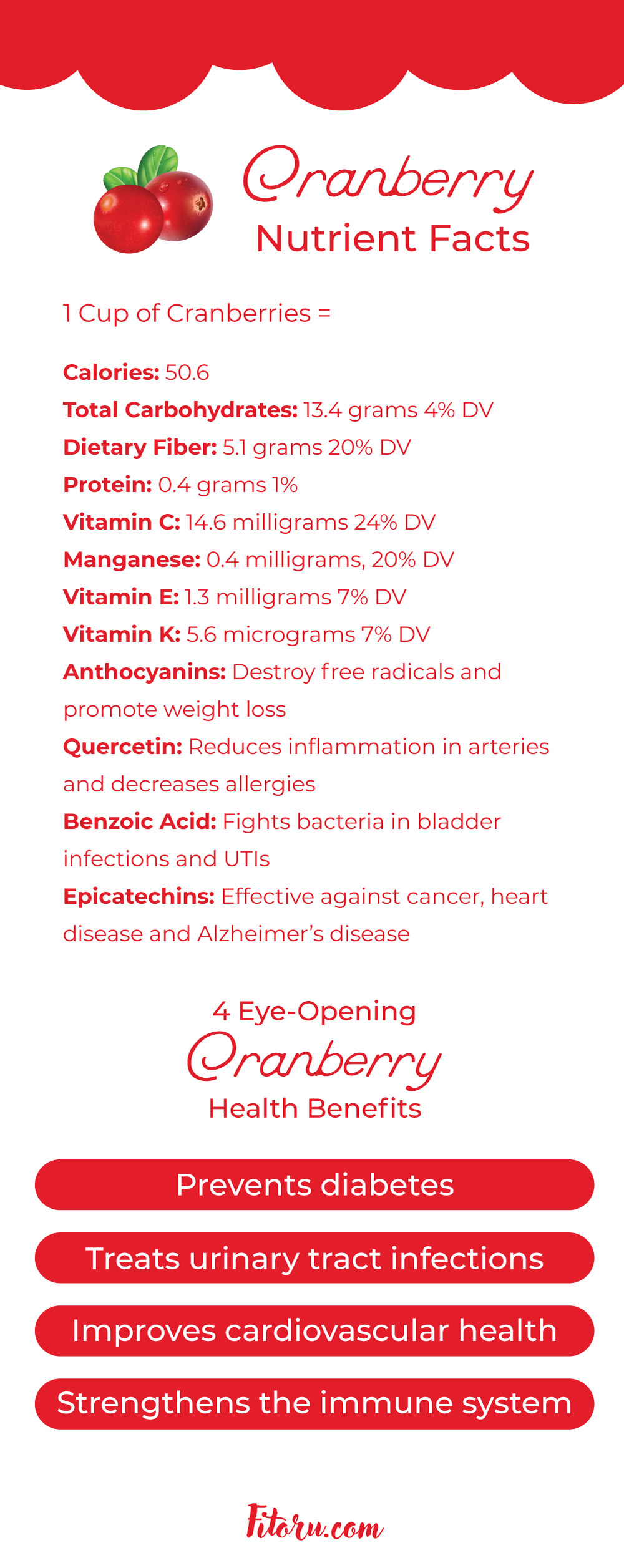 Explore cranberry nutrition facts and how to enjoy them anytime!