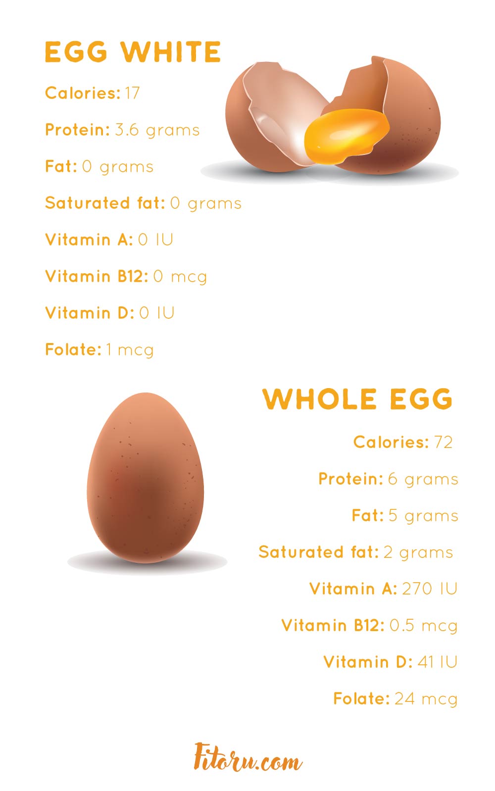 Egg White VS. Whole Egg Nutrition Facts.