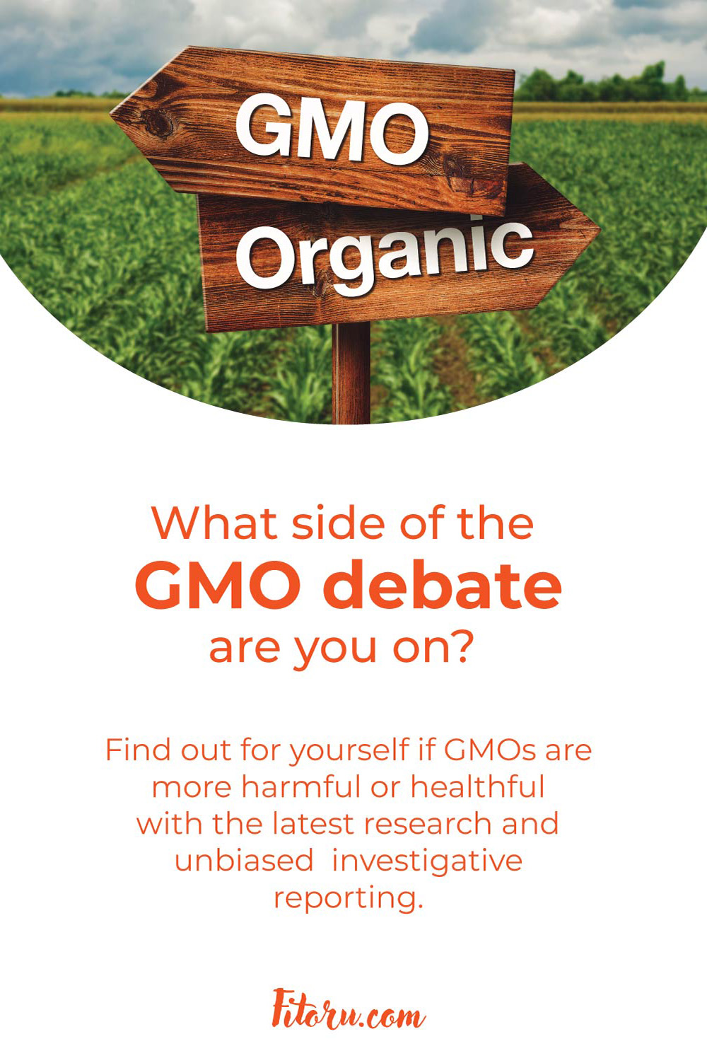 What side of the GMO debate are you on?