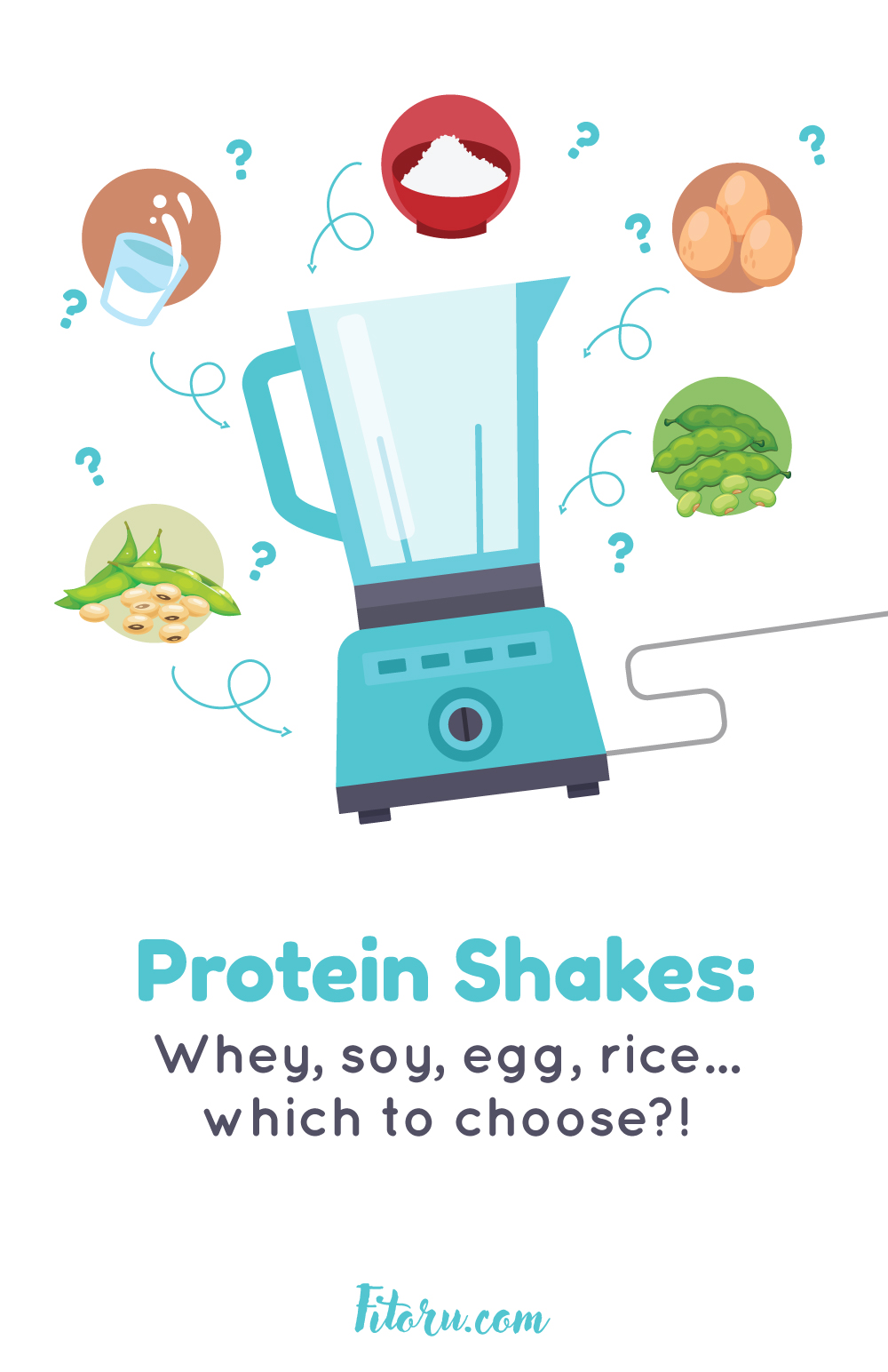 Explore the main ingredients in protein shakes.