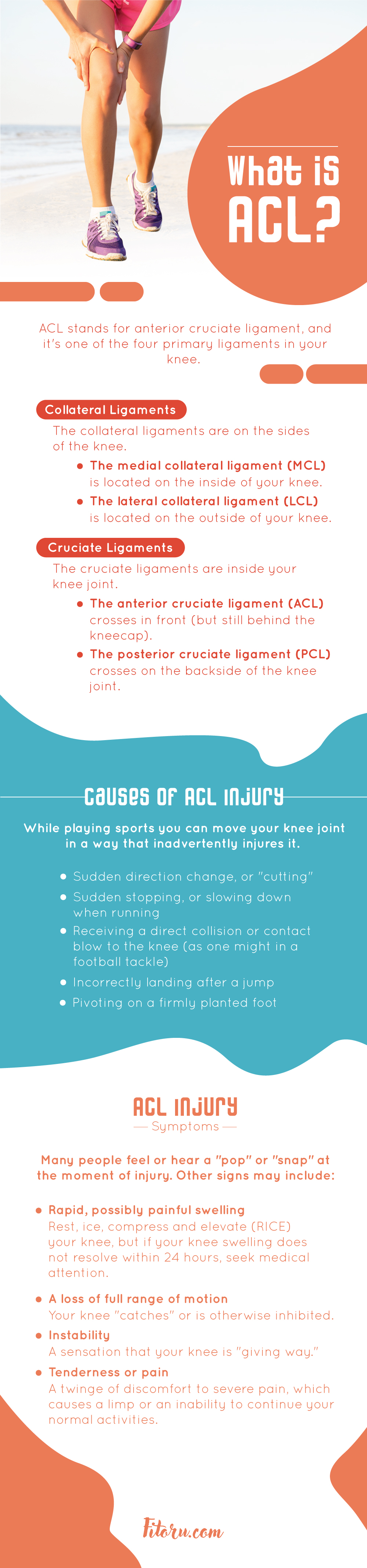 The ACL: location, signs of injury, treatment.