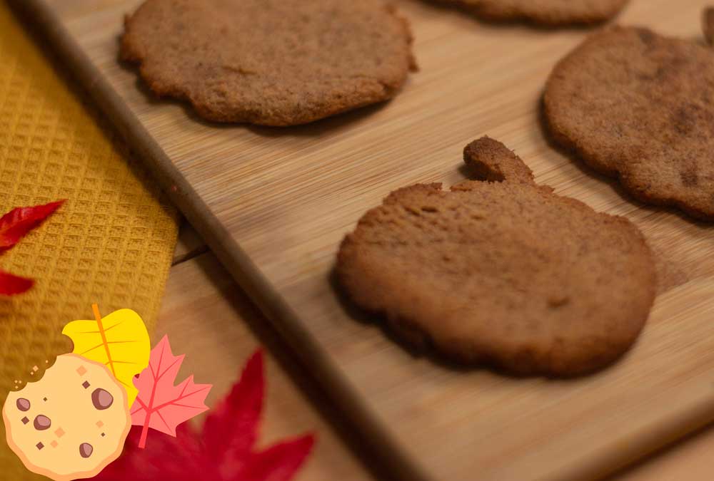 keto pumpkin spice cookies for fall
