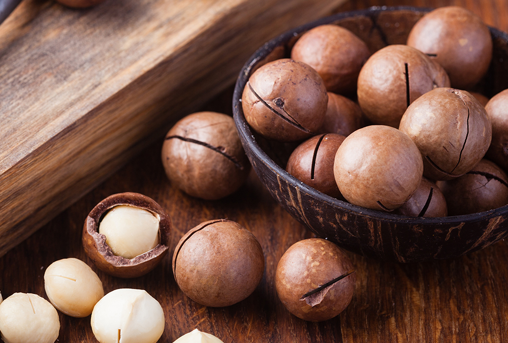 raw macadamia nut in shell